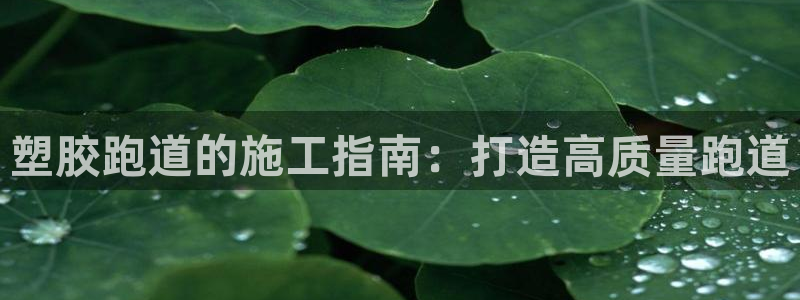 谈球吧体育app下载官网安卓：塑胶跑道的施工指南：打造高质量跑道