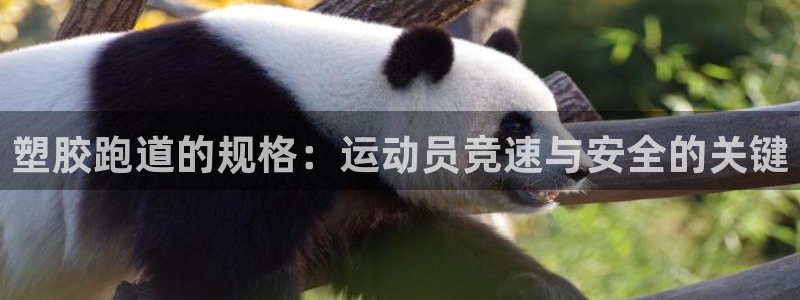 谈球吧体育app下载足球直播视频：塑胶跑道的规格：运