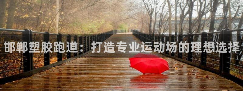 谈球吧的聊天软件叫什么：邯郸塑胶跑道：打造专业运动场
