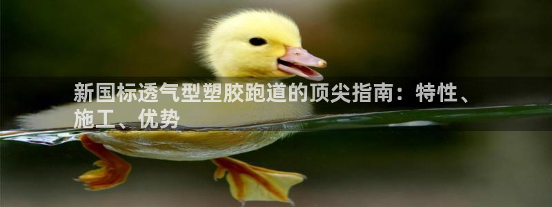 谈球吧是黑台子吗知乎小说：新国标透气型塑胶跑道的顶尖