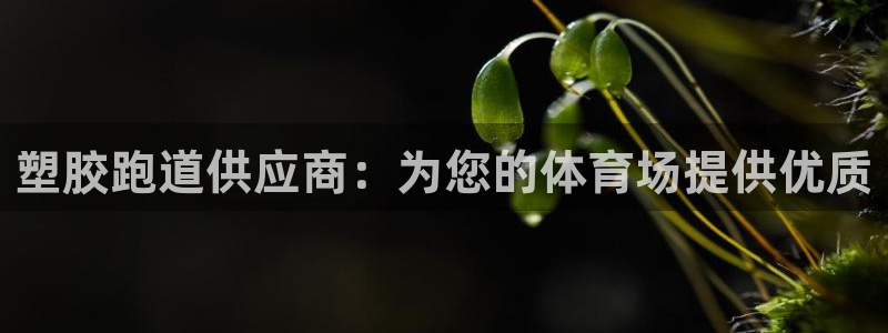 谈球吧登录网：塑胶跑道供应商：为您的体育场提供优质
