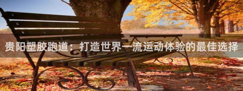 谈球吧属于哪个：贵阳塑胶跑道：打造世界一流运动体验的最佳选择