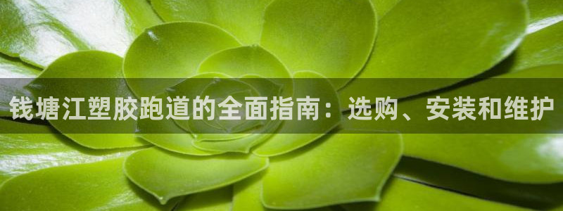 谈球吧平台app下载网址是什么：钱塘江塑胶跑道的全面