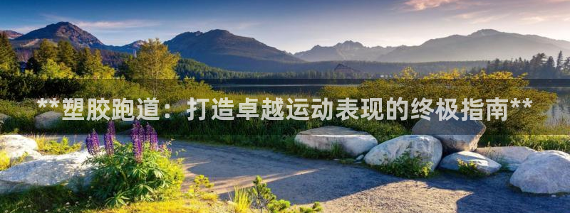谈球吧算违法行为吗为什么：**塑胶跑道：打造卓越运动