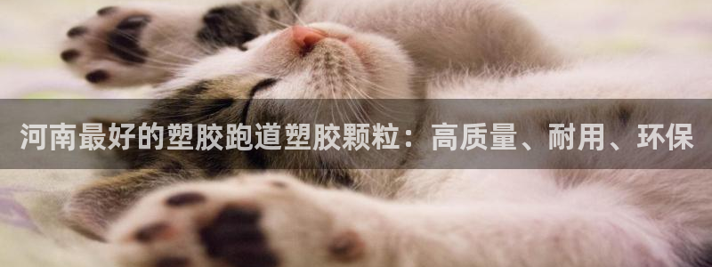 谈球吧体育app下载足球比赛视频：河南最好的塑胶跑道