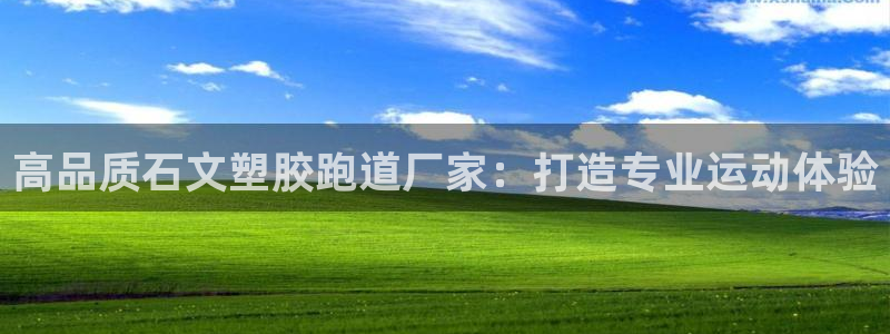 谈球吧的聊天软件叫什么来着：高品质石文塑胶跑道厂家：