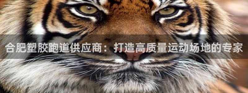 谈球吧app官网：合肥塑胶跑道供应商：打造高质量运动
