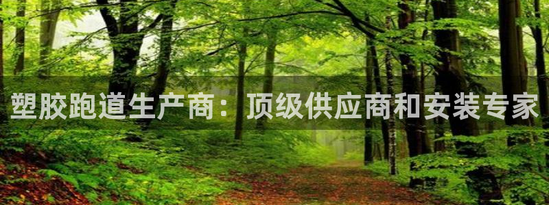 谈球吧买球是正规的吗：塑胶跑道生产商：顶级供应商和安