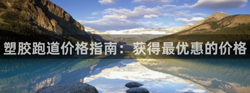 谈球吧言网入口：塑胶跑道价格指南：获得最优惠的价格