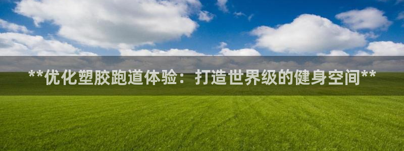 谈球吧在线登录免费观看：**优化塑胶跑道体验：打造世界级的健身空间**