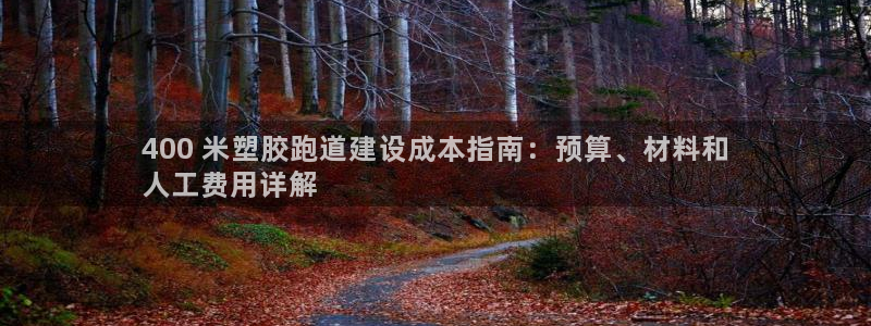 谈球吧全站app下载：400 米塑胶跑道建设成本指南：预算、材料和
人工费用详解