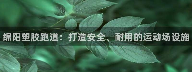谈球吧app体育：绵阳塑胶跑道：打造安全、耐用的运动场设施