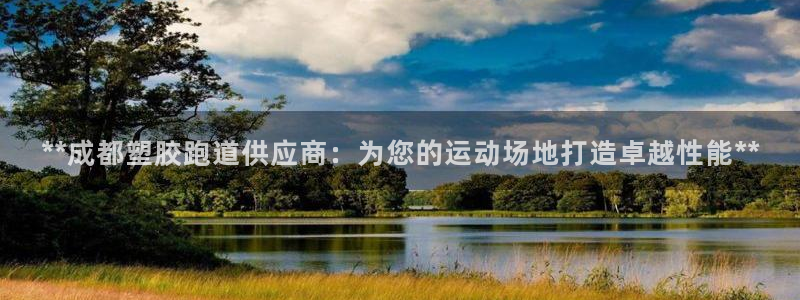 谈球吧官网在线入口：**成都塑胶跑道供应商：为您的运动场地打造卓越性能**