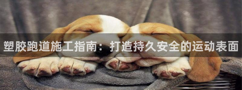 谈球吧全站app下载：塑胶跑道施工指南：打造持久安全的运动表面