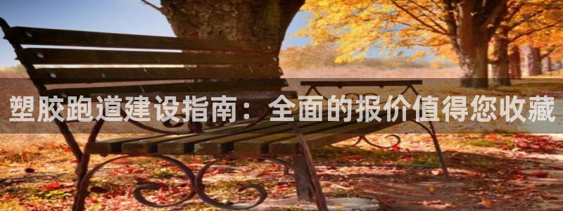 谈球吧平台正规吗可靠吗安全吗：塑胶跑道建设指南：全面