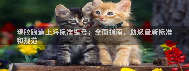 谈球吧官网在线入口手机版下载安装：塑胶跑道上海标准编号：全面指南，助您最新标准
和规范