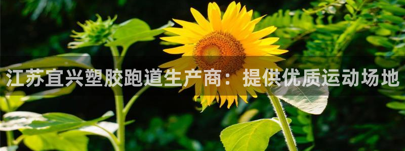 谈球吧体育app下载足球比赛：江苏宜兴塑胶跑道生产商