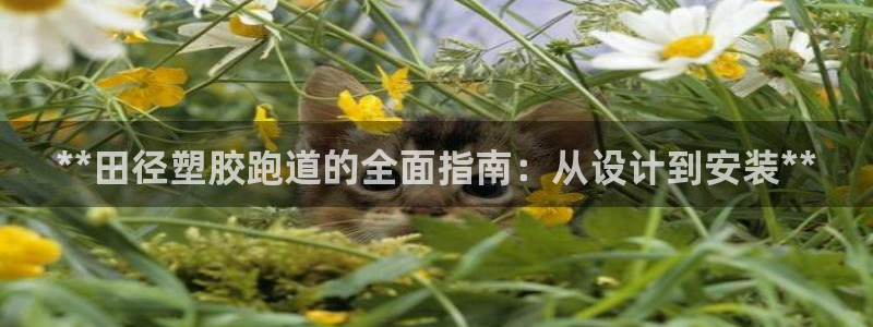 谈球吧是黑台子吗还是白台子好：**田径塑胶跑道的全面指南：从设计到安装**