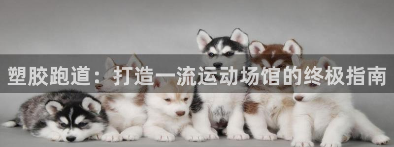 谈球吧下载：塑胶跑道：打造一流运动场馆的终极指南