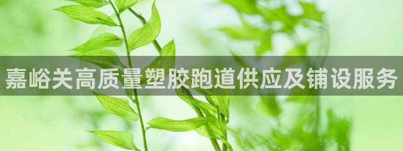 谈球吧官方网站：嘉峪关高质量塑胶跑道供应及铺设服务