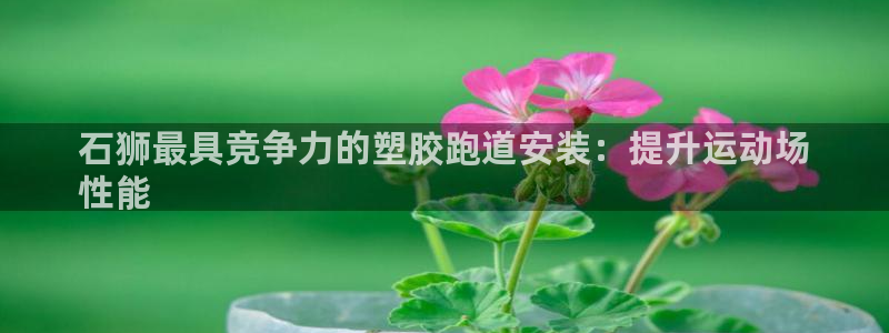 谈球吧的聊天软件下载：石狮最具竞争力的塑胶跑道安装：提升运动场
性能