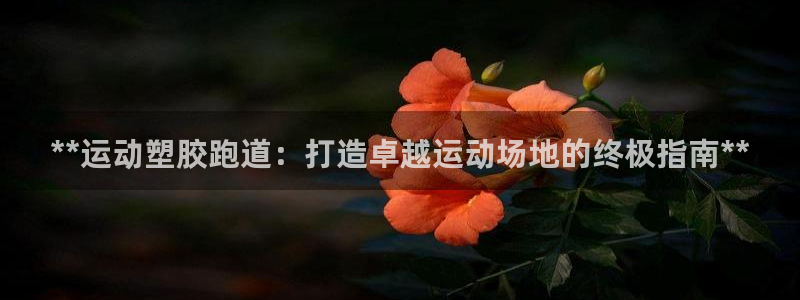 谈球吧在线：**运动塑胶跑道：打造卓越运动场地的终极指南**