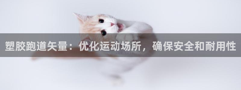 谈球吧在线观看：塑胶跑道矢量：优化运动场所，确保安全和耐用性