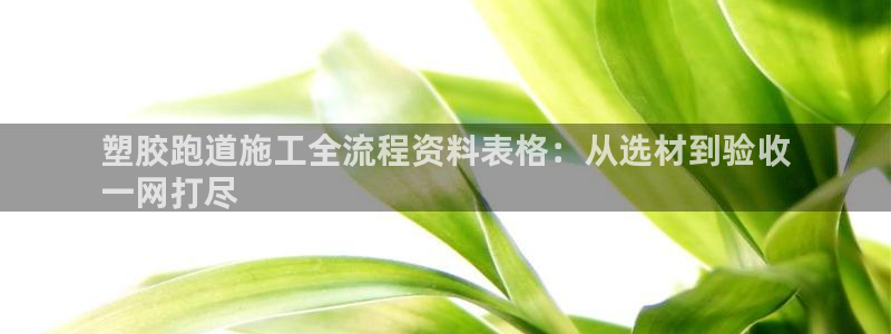 谈球吧的聊天软件叫什么：塑胶跑道施工全流程资料表格：从选材到验收
一网打尽
