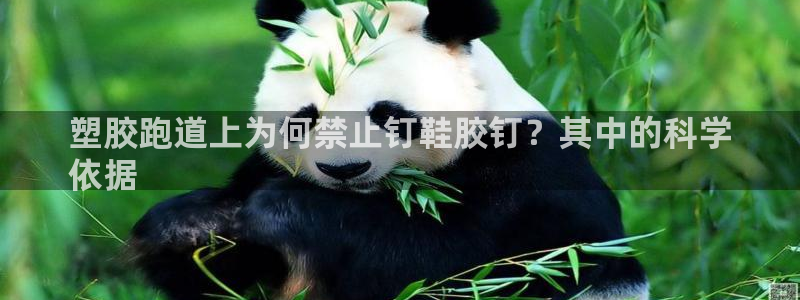 谈球吧入口：塑胶跑道上为何禁止钉鞋胶钉？其中的科学
依据