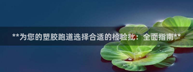 谈球吧咋样黑钱：**为您的塑胶跑道选择合适的检验批：