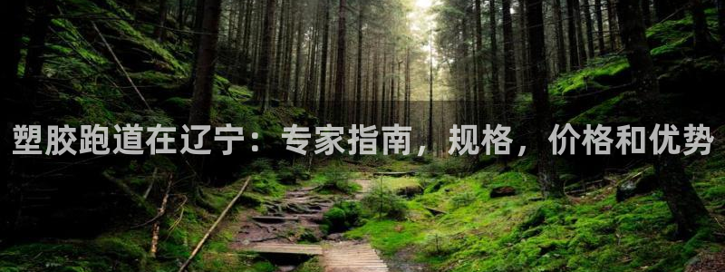谈球吧体育综合台：塑胶跑道在辽宁：专家指南，规格，价格和优势