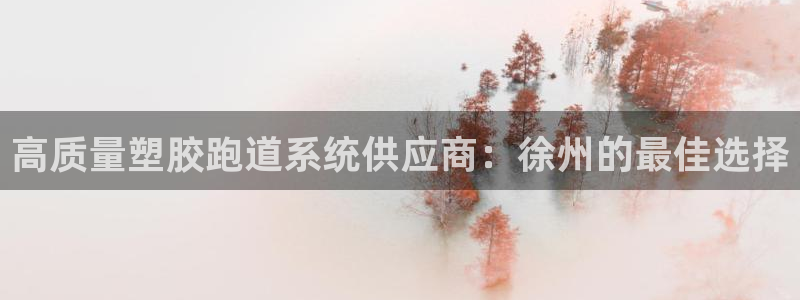 谈球吧出款怎样?：高质量塑胶跑道系统供应商：徐州的最佳选择
