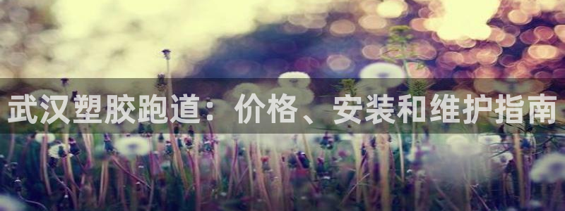 谈球吧在线：武汉塑胶跑道：价格、安装和维护指南