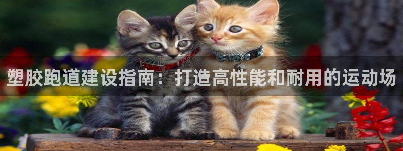 谈球吧网app官网下载