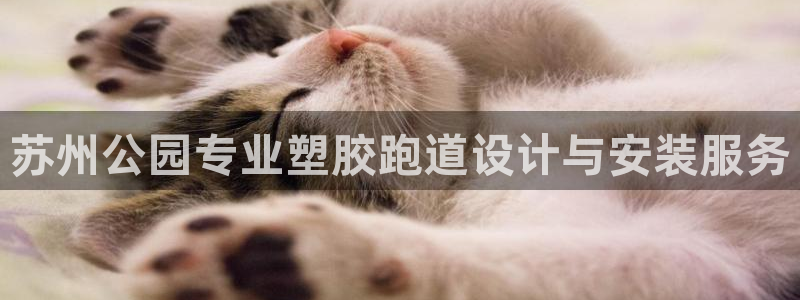 谈球吧在线登陆：苏州公园专业塑胶跑道设计与安装服务