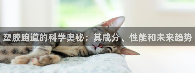 谈球吧官方网站：塑胶跑道的科学奥秘：其成分、性能和未来趋势