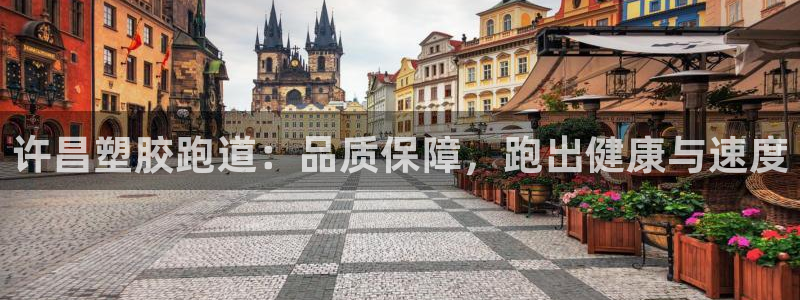 谈球吧官网登录：许昌塑胶跑道：品质保障，跑出健康与速度
