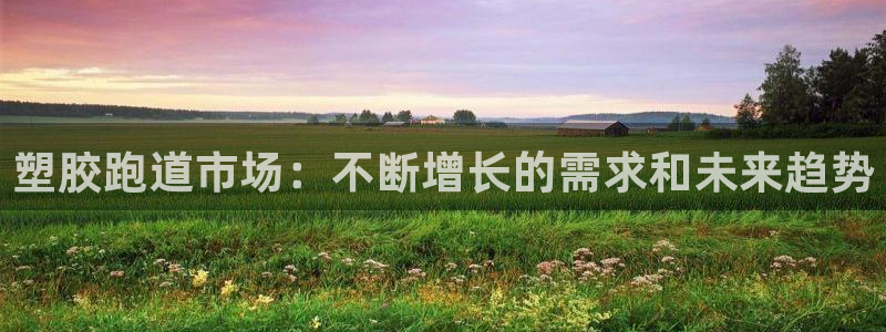 谈球吧体育综合：塑胶跑道市场：不断增长的需求和未来趋势