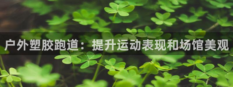 谈球吧在线观看：户外塑胶跑道：提升运动表现和场馆美观