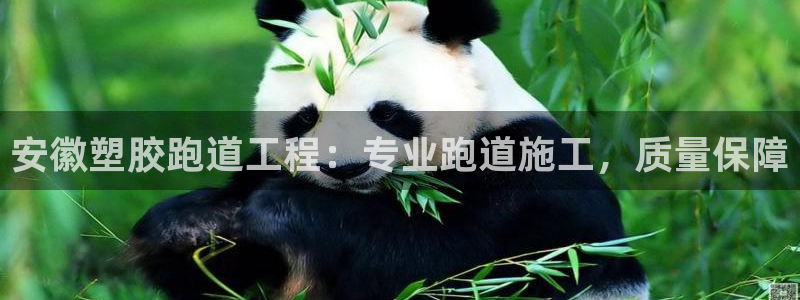谈球吧综合官网app：安徽塑胶跑道工程：专业跑道施工，质量保障