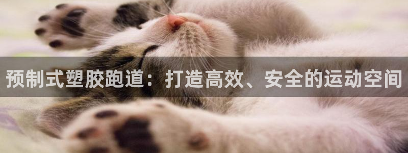谈球吧在线登陆：预制式塑胶跑道：打造高效、安全的运动空间