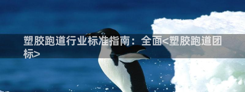 谈球吧体育app下载中心官方最新版：塑胶跑道行业标准指南：全面<塑胶跑道团
标>