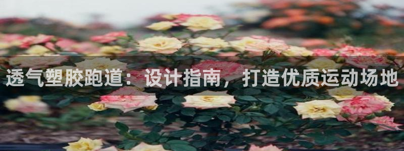 谈球吧体育app下载中心官方：透气塑胶跑道：设计指南，打造优质运动场地