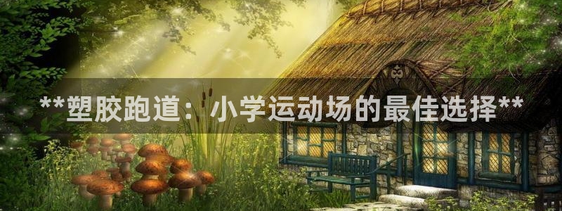 谈球吧官网在线入口手机版免费：**塑胶跑道：小学运动场的最佳选择**