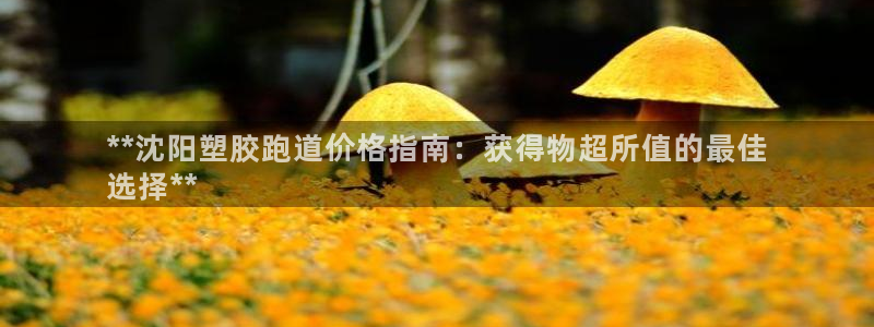 谈球吧app赛事分析：**沈阳塑胶跑道价格指南：获得物超所值的最佳
选择**