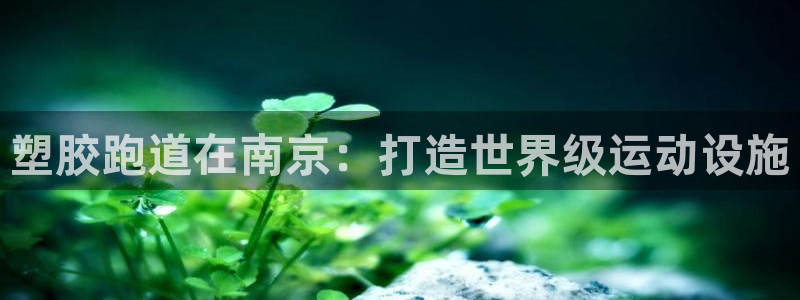 谈球吧的聊天软件是什么