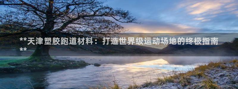 谈球吧体育官网在线入口：**天津塑胶跑道材料：打造世界级运动场地的终极指南
**