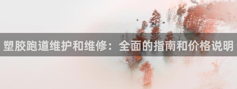 谈球吧咋样：塑胶跑道维护和维修：全面的指南和价格说明