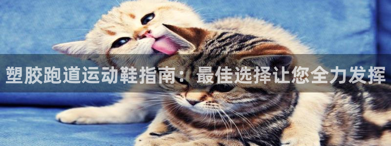 谈球吧平台正规吗可靠吗安全吗：塑胶跑道运动鞋指南：最佳选择让您全力发挥