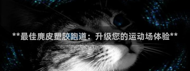 谈球吧买球提现：**最佳麂皮塑胶跑道：升级您的运动场体验**